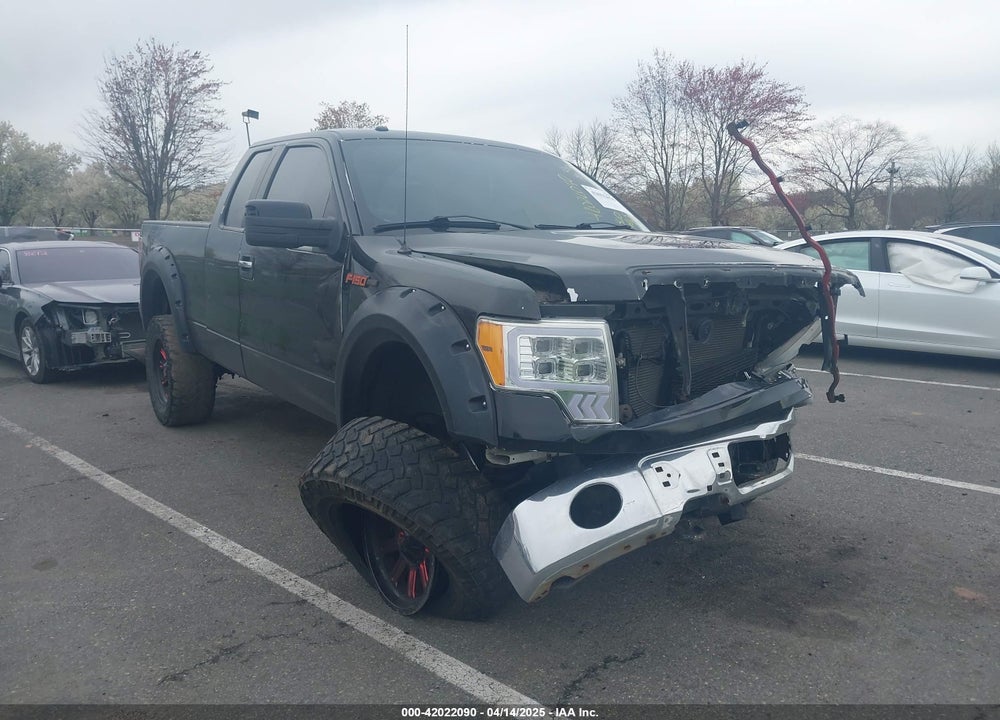 2013 FORD F-150 XLT VIN: 1FTFX1EF7DKD11749