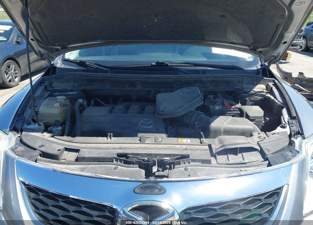 2011 MAZDA CX-9 VIN: JM3TB3DA8B0306479