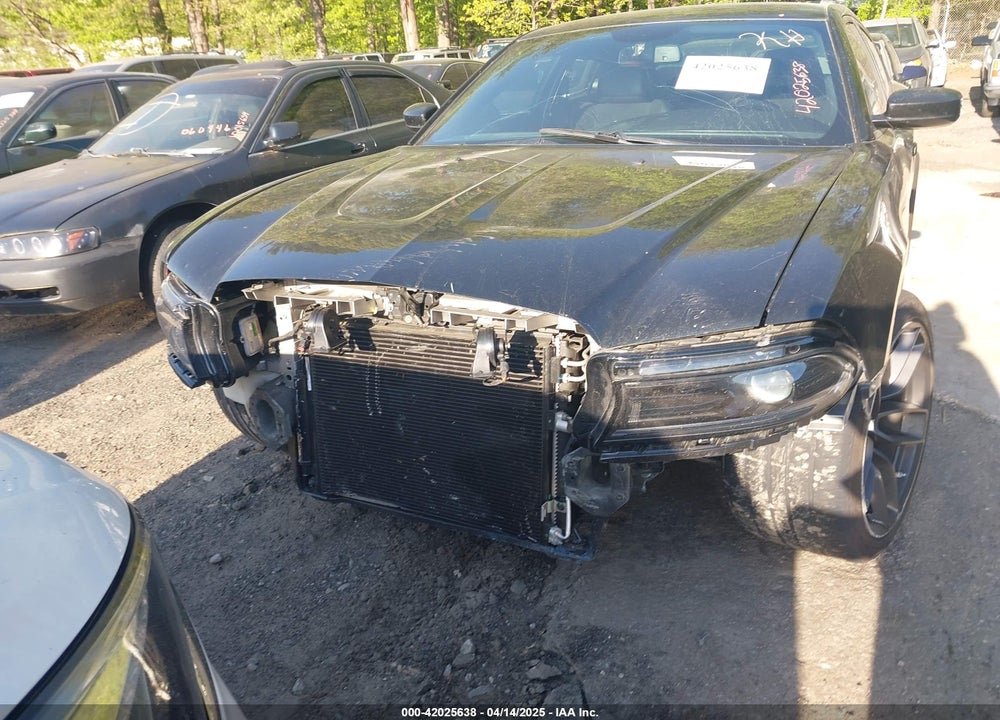 2014 DODGE CHARGER VIN: 2C3CDXAT3EH121230