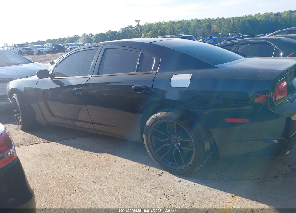 2014 DODGE CHARGER VIN: 2C3CDXAT3EH121230