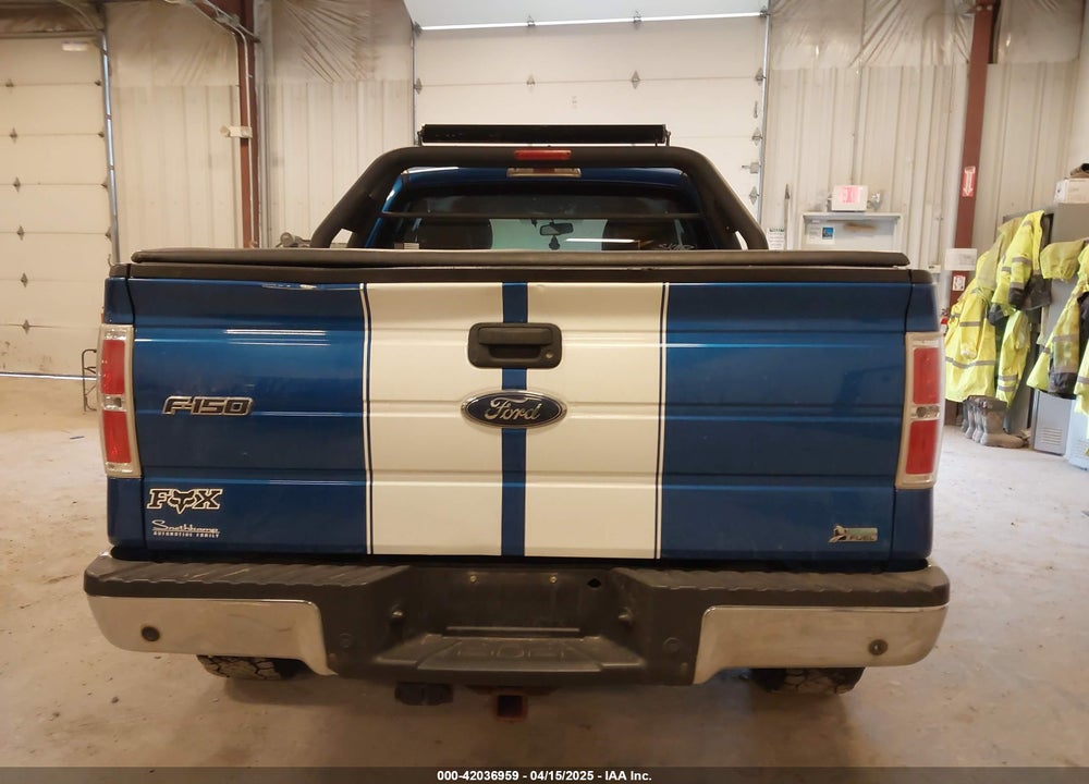2010 FORD F-150 VIN: 1FTFX1EV5AFD86123