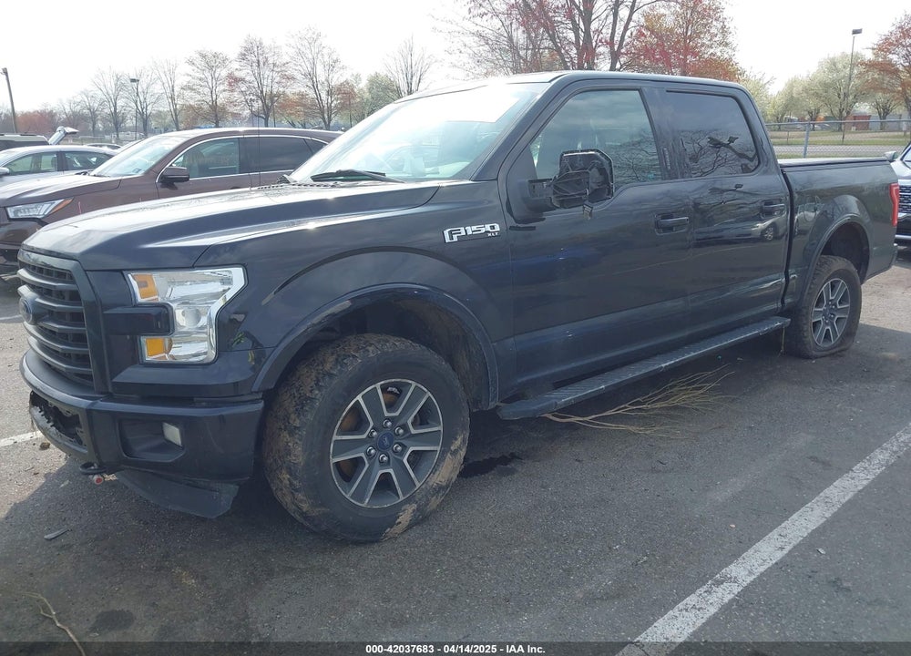 2016 FORD F-150 XLT VIN: 1FTEW1EF7GFC73113