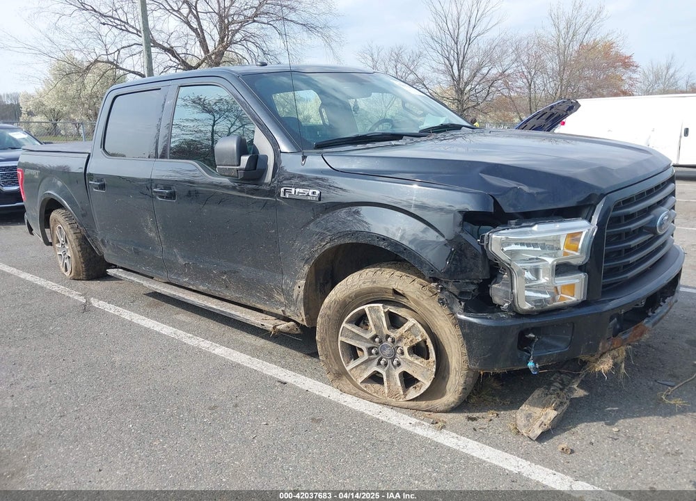 2016 FORD F-150 XLT VIN: 1FTEW1EF7GFC73113
