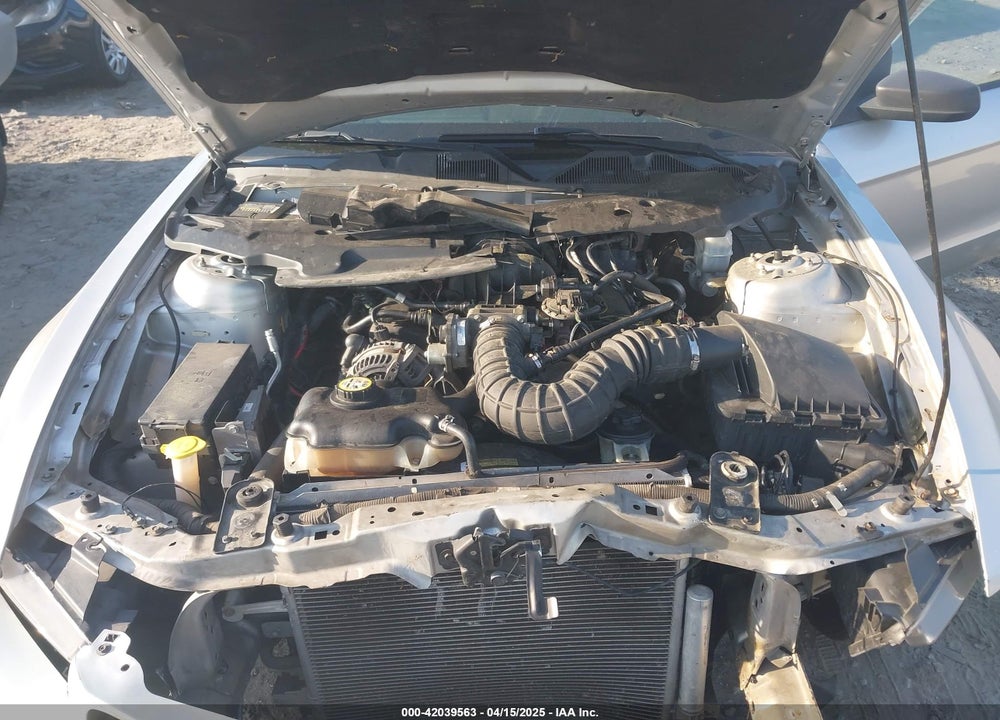 2010 FORD MUSTANG V6/V6 PREMIUM VIN: 1ZVBP8EN3A5109805