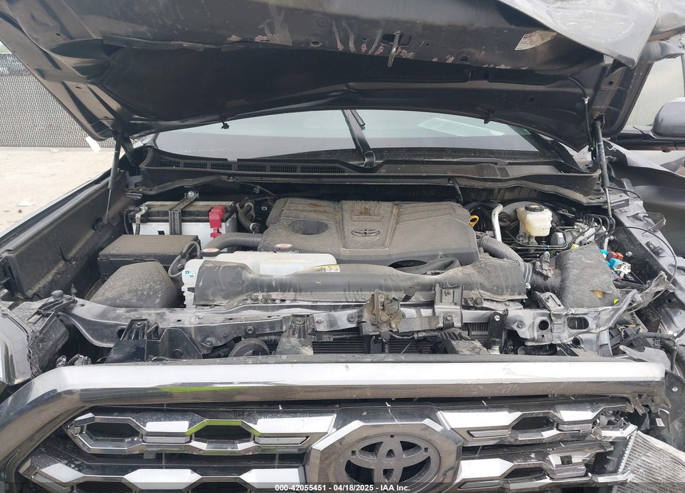 2024 TOYOTA TUNDRA PLATINUM 4WD VIN: 5TFNA5DB2RX180808