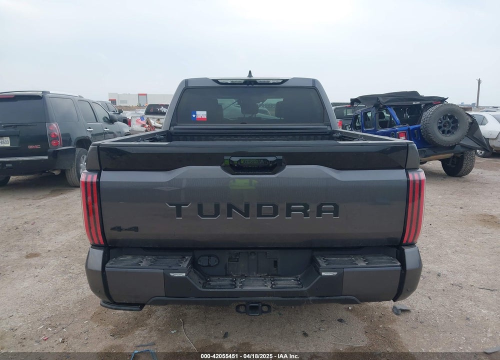 2024 TOYOTA TUNDRA PLATINUM 4WD VIN: 5TFNA5DB2RX180808
