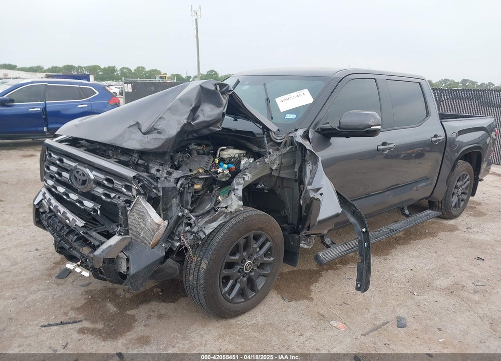 2024 TOYOTA TUNDRA PLATINUM 4WD VIN: 5TFNA5DB2RX180808
