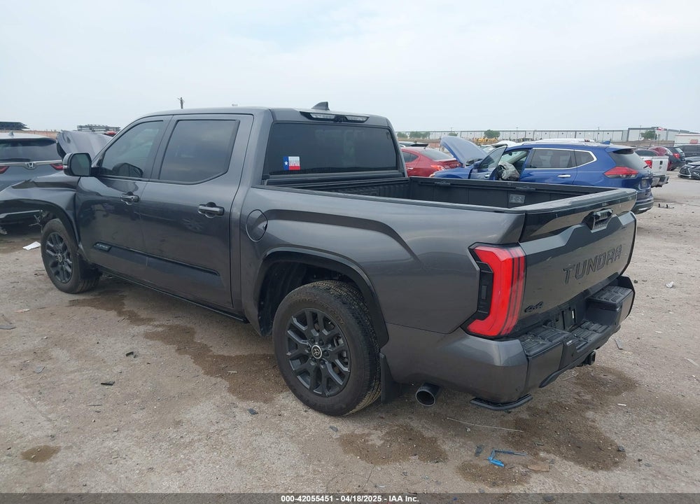 2024 TOYOTA TUNDRA PLATINUM 4WD VIN: 5TFNA5DB2RX180808
