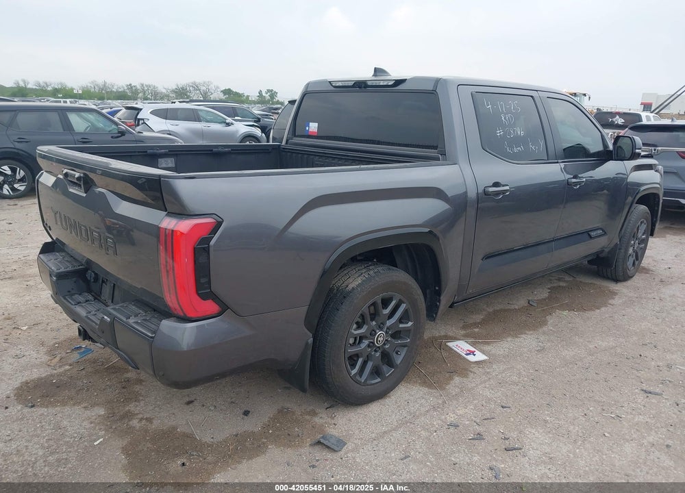 2024 TOYOTA TUNDRA PLATINUM 4WD VIN: 5TFNA5DB2RX180808