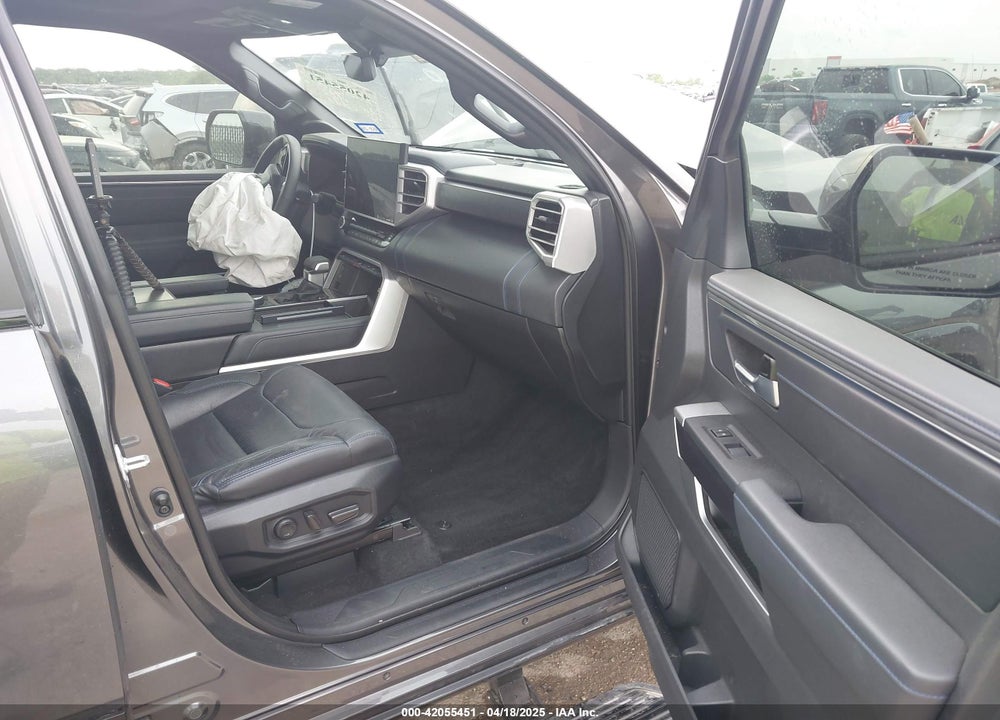 2024 TOYOTA TUNDRA PLATINUM 4WD VIN: 5TFNA5DB2RX180808