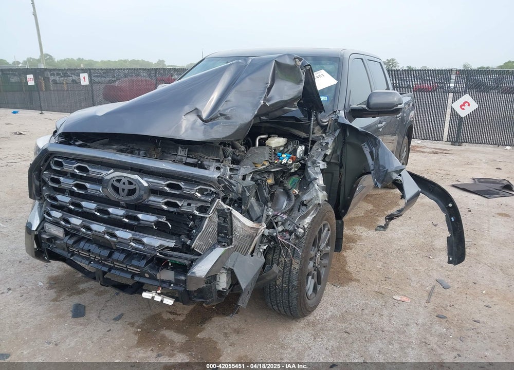 2024 TOYOTA TUNDRA PLATINUM 4WD VIN: 5TFNA5DB2RX180808