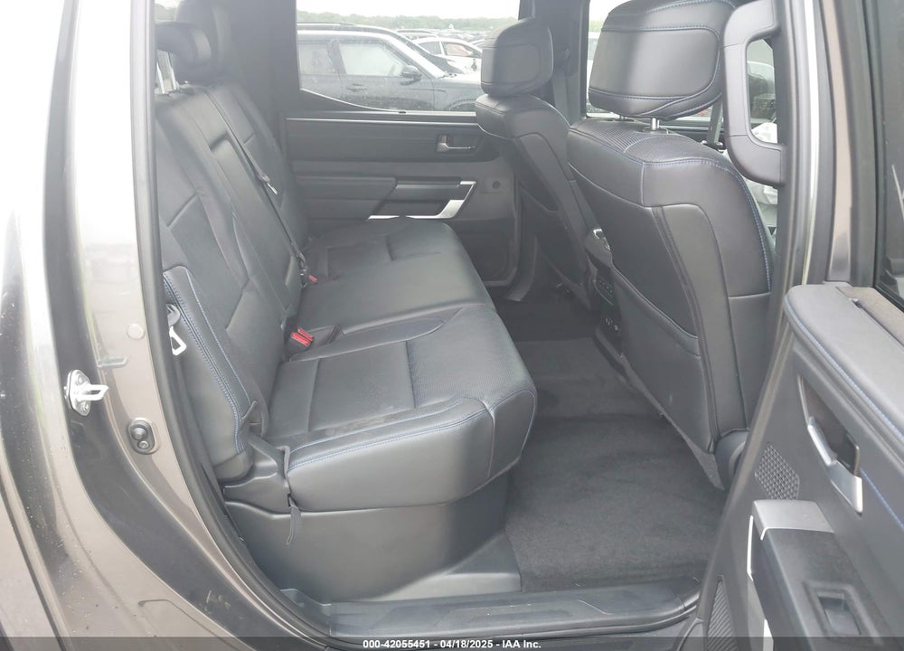 2024 TOYOTA TUNDRA PLATINUM 4WD VIN: 5TFNA5DB2RX180808