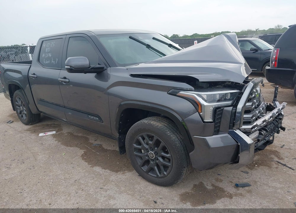 2024 TOYOTA TUNDRA PLATINUM 4WD VIN: 5TFNA5DB2RX180808