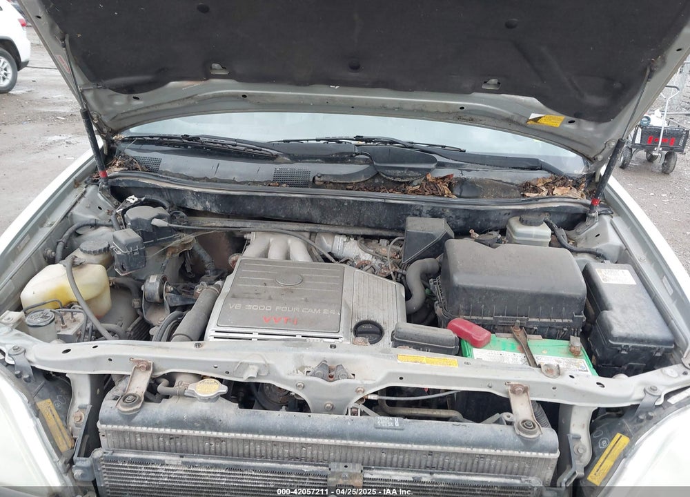 2003 LEXUS RX 300 VIN: JTJHF10U230304569