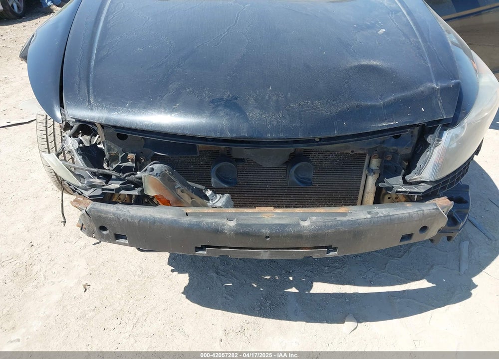 2010 HONDA ACCORD VIN: 1HGCP2F45AA135566
