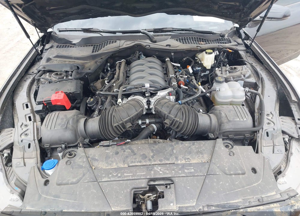 2024 FORD MUSTANG VIN: 1FA6P8CF1R5435071