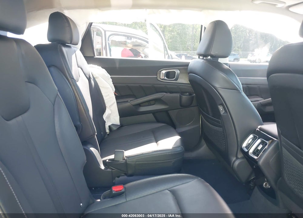 2024 KIA SORENTO X-LINE SX VIN: 5XYRKDJF9RG259993