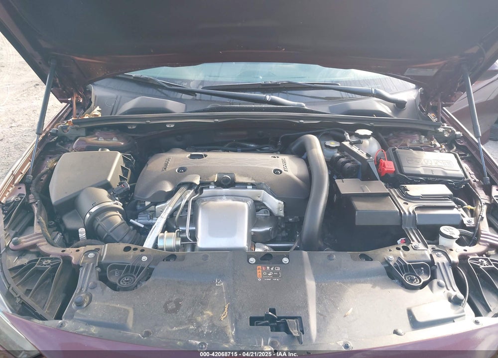 2019 BUICK REGAL TOURX VIN: W04GV8SX0K1011726