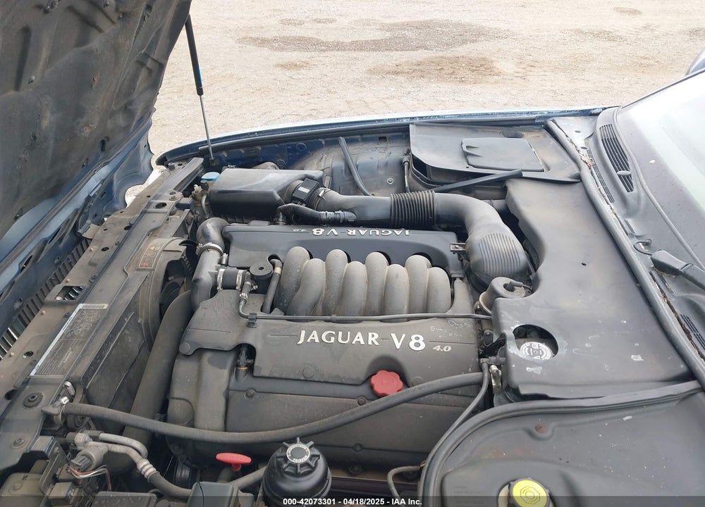 1998 JAGUAR XJ8 L VIN: SAJHX6242WC820445