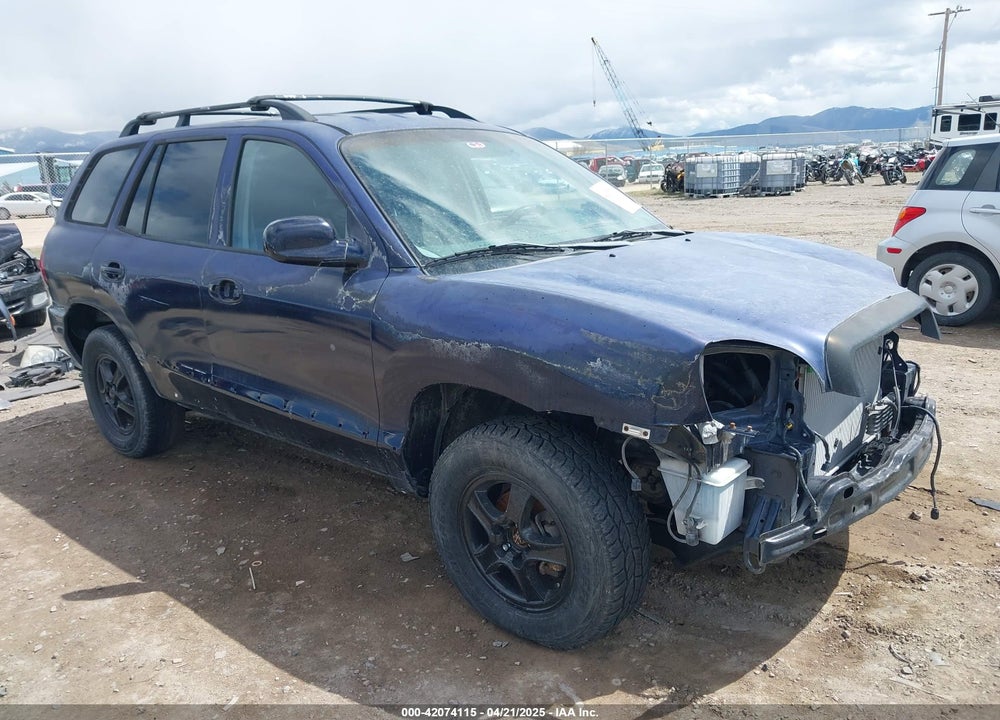 2004 HYUNDAI SANTA FE VIN: KM8SB12B44U816100
