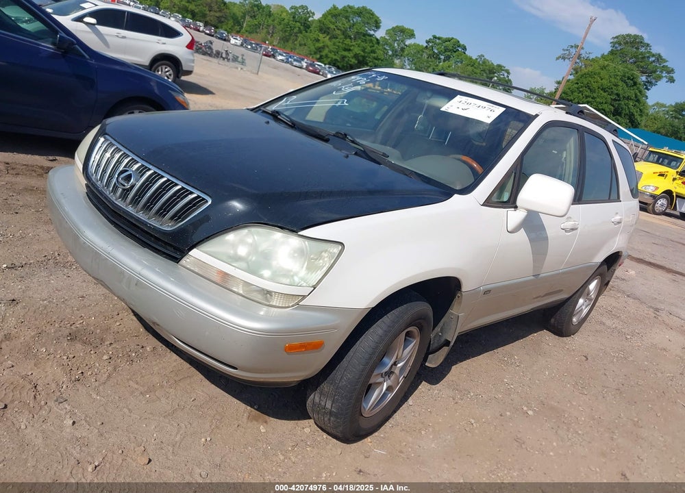2002 LEXUS RX 300 VIN: JTJHF10U720256520