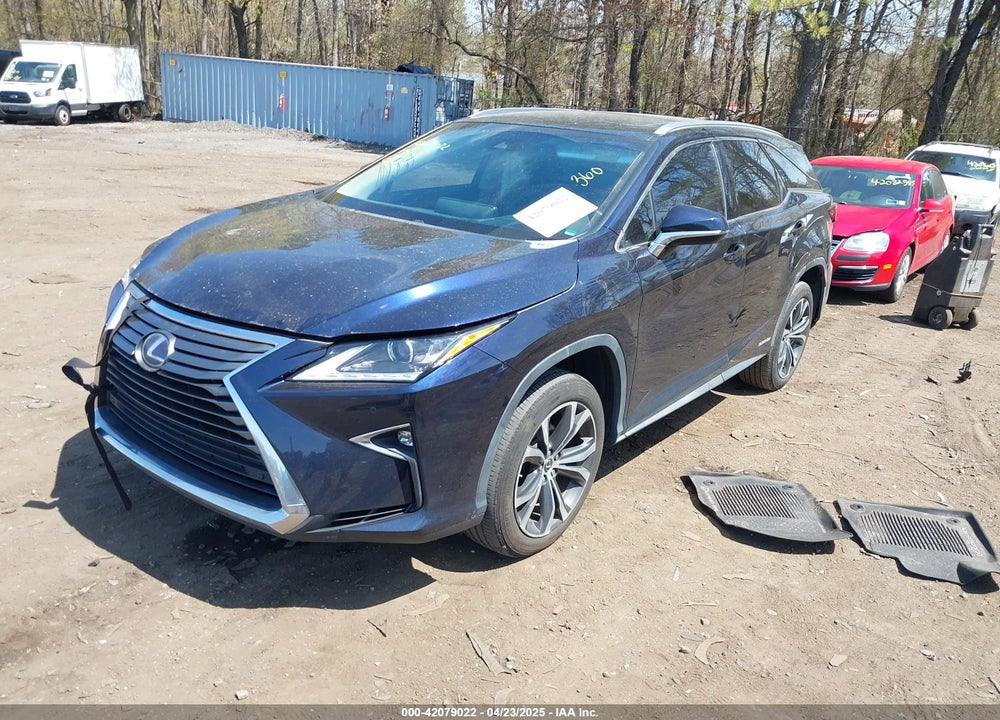 2019 LEXUS RX450HL VIN: JTJDGKCA4K2006465