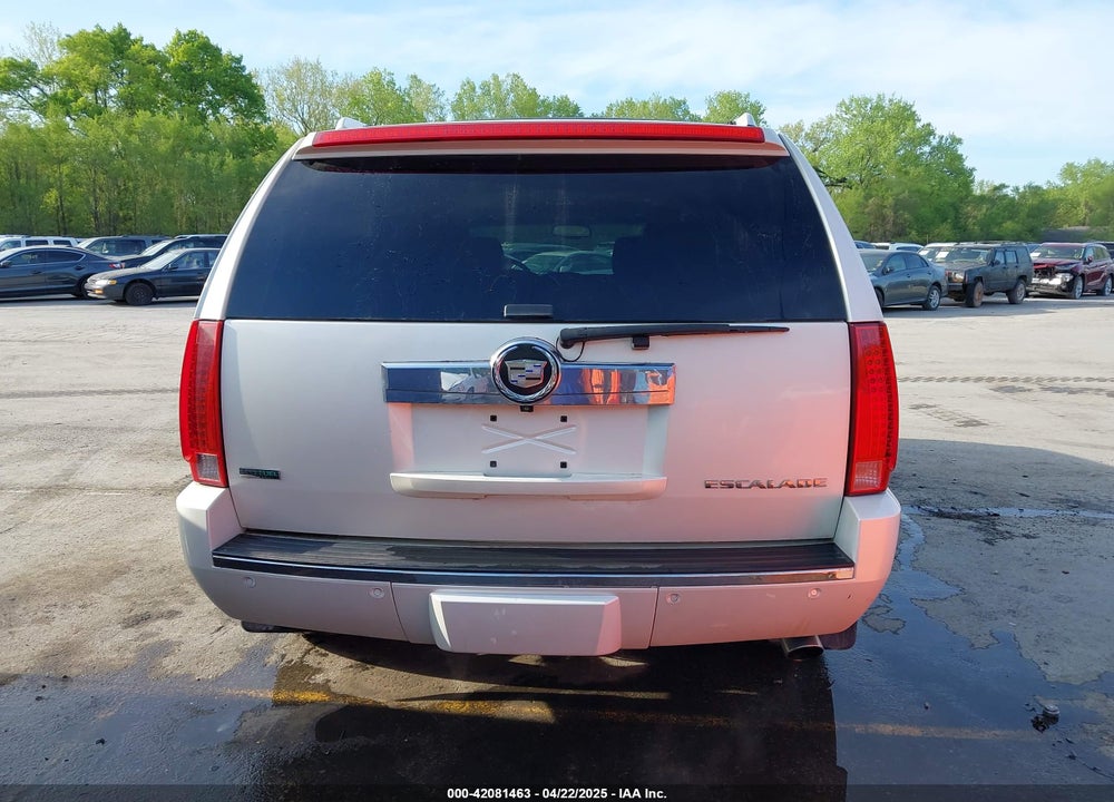 2010 CADILLAC ESCALADE LUXURY VIN: 1GYUKBEF6AR122941