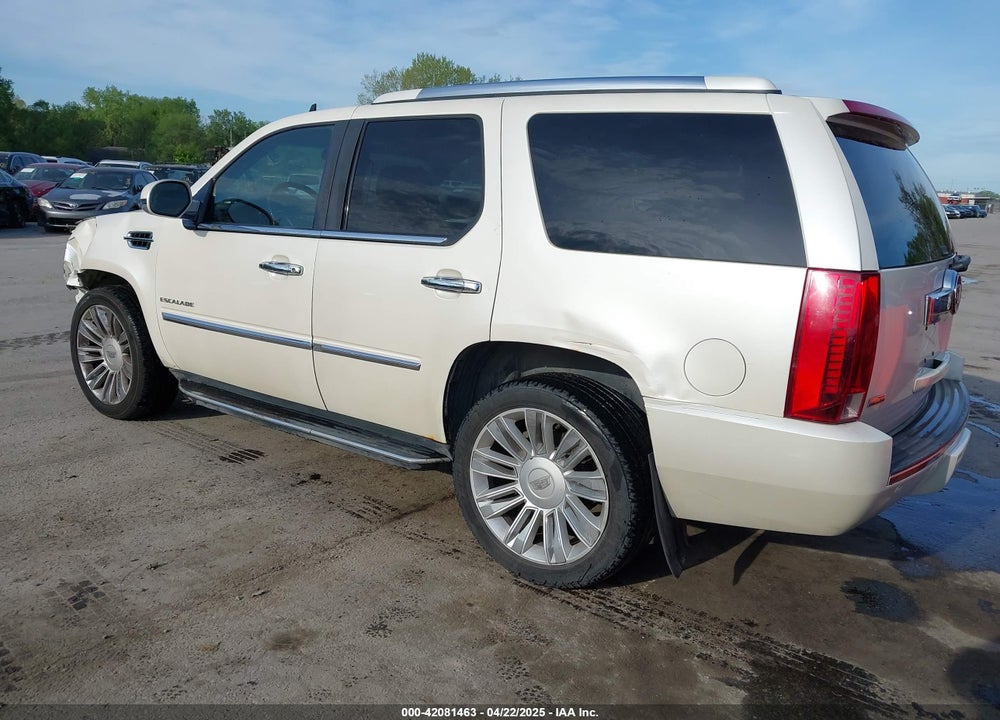 2010 CADILLAC ESCALADE LUXURY VIN: 1GYUKBEF6AR122941