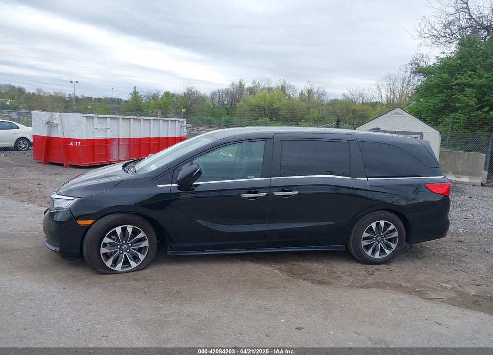 2024 HONDA ODYSSEY EX-L VIN: 5FNRL6H64RB055401