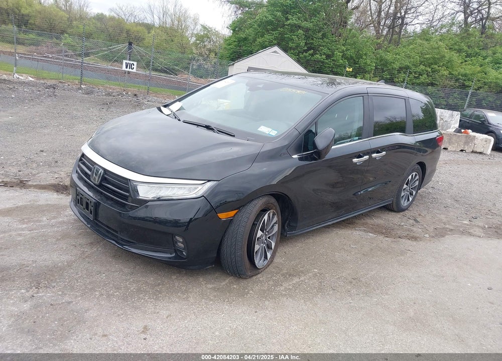 2024 HONDA ODYSSEY EX-L VIN: 5FNRL6H64RB055401
