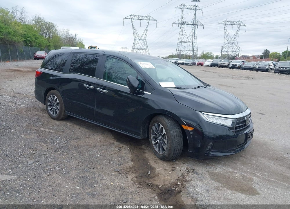 2024 HONDA ODYSSEY EX-L VIN: 5FNRL6H64RB055401