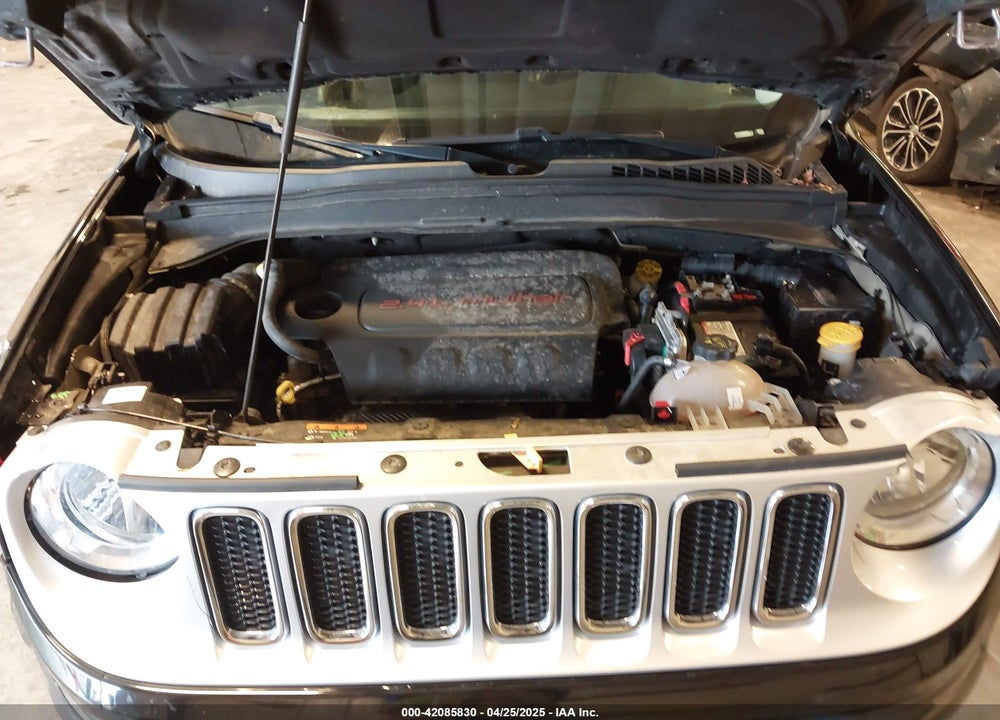2016 JEEP RENEGADE VIN: ZACCJBDT3GPE36002