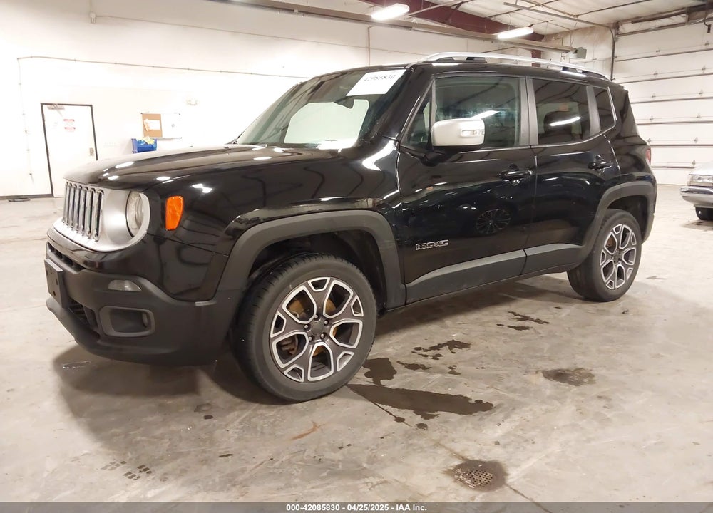 2016 JEEP RENEGADE VIN: ZACCJBDT3GPE36002