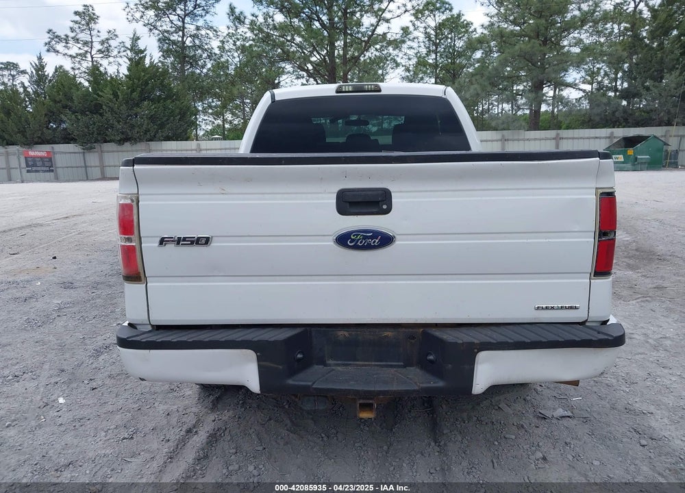 2013 FORD F-150 VIN: 1FTFX1CF8DFB27531