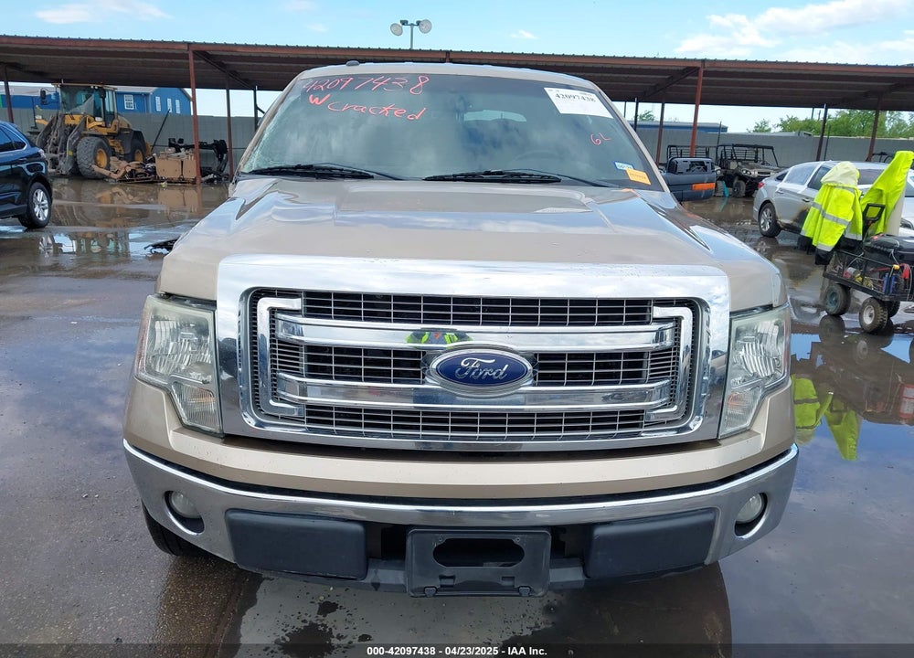 2013 FORD F-150 XLT VIN: 1FTEW1CM3DKD22800