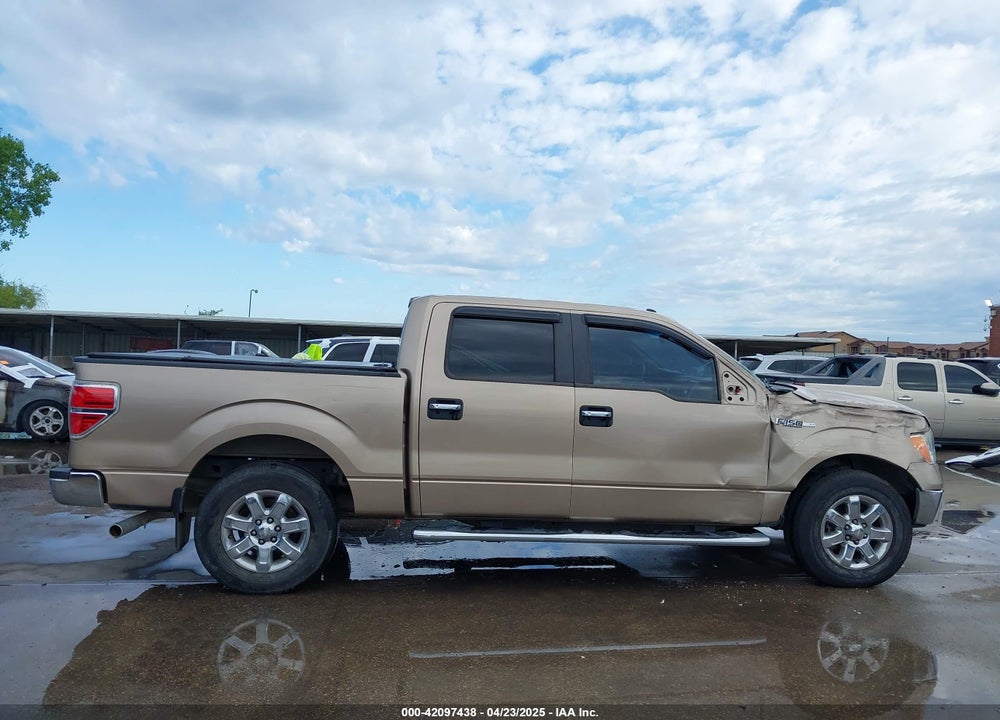 2013 FORD F-150 XLT VIN: 1FTEW1CM3DKD22800
