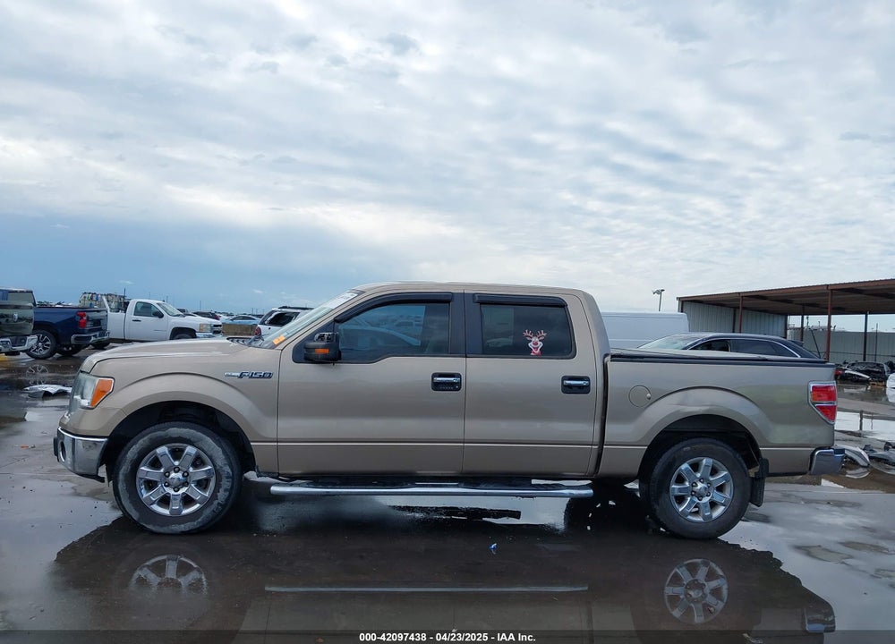 2013 FORD F-150 XLT VIN: 1FTEW1CM3DKD22800