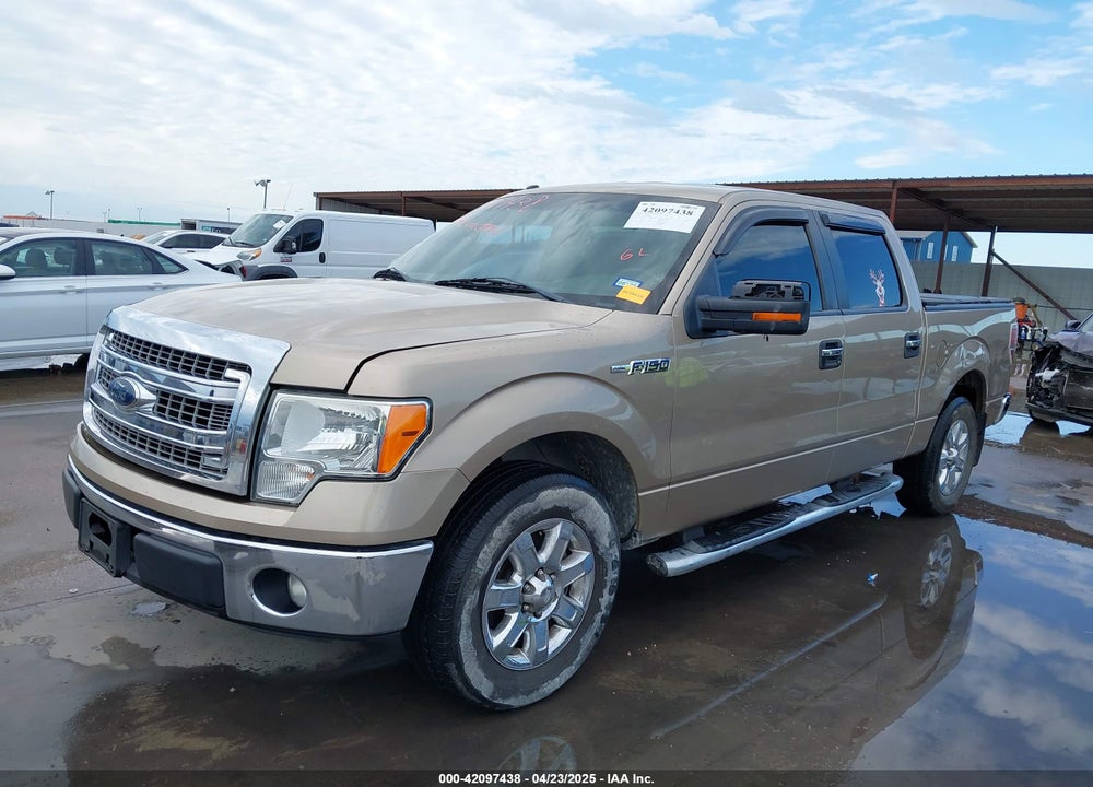 2013 FORD F-150 XLT VIN: 1FTEW1CM3DKD22800