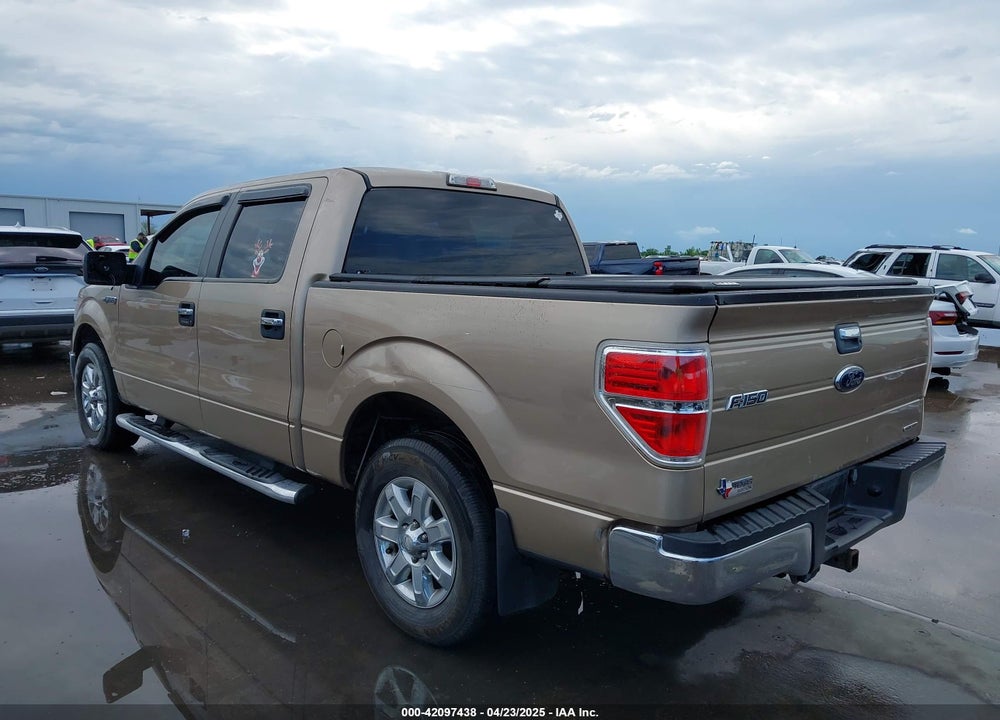 2013 FORD F-150 XLT VIN: 1FTEW1CM3DKD22800