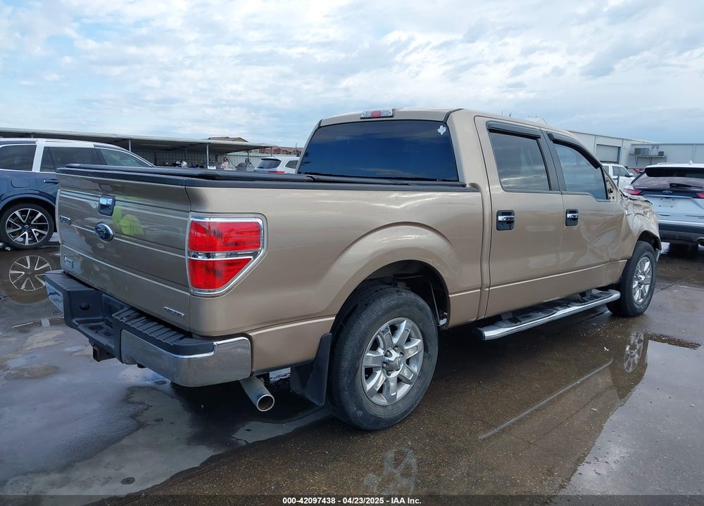 2013 FORD F-150 XLT VIN: 1FTEW1CM3DKD22800