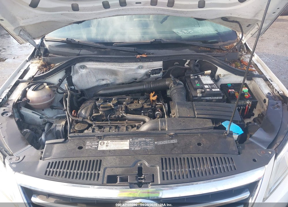 2010 VOLKSWAGEN TIGUAN VIN: WVGBV7AX9AW516463