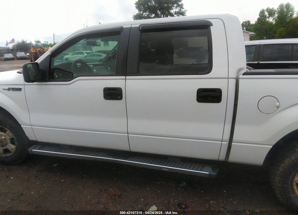 2010 FORD F-150 VIN: 1FTEW1C82AFB27245