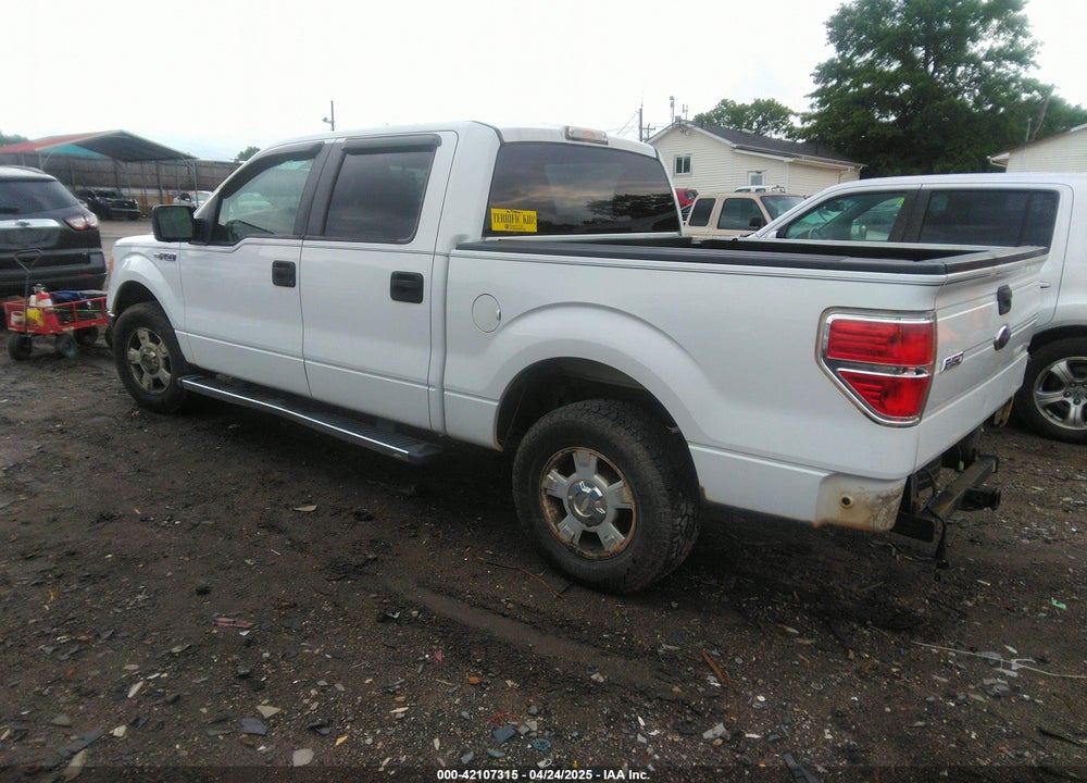 2010 FORD F-150 VIN: 1FTEW1C82AFB27245