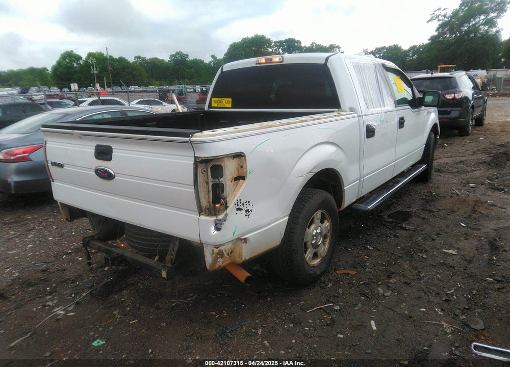 2010 FORD F-150 VIN: 1FTEW1C82AFB27245
