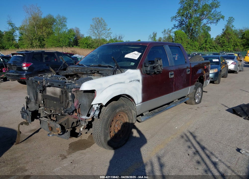 2010 FORD F-150 VIN: 1FTFW1EV7AFC08166