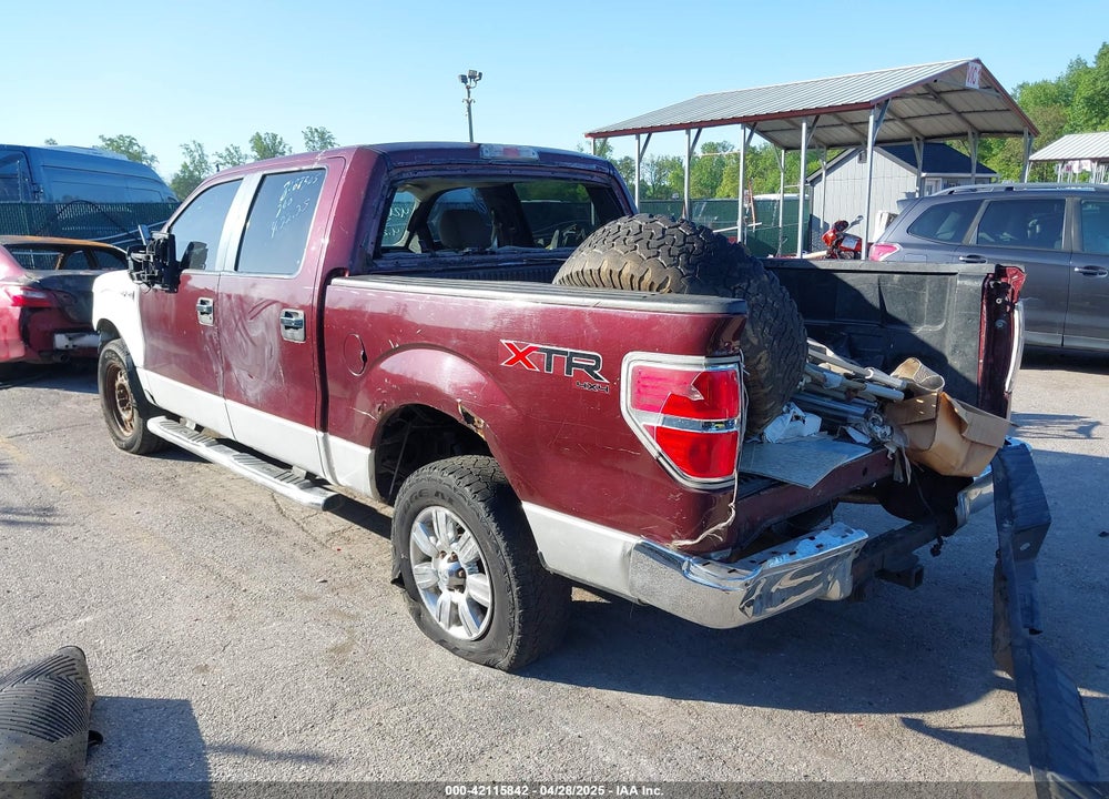 2010 FORD F-150 VIN: 1FTFW1EV7AFC08166