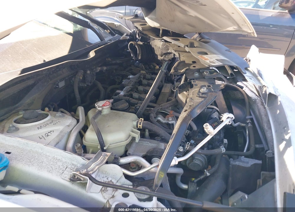 2019 HONDA CIVIC VIN: 19XFC1F3XKE006830