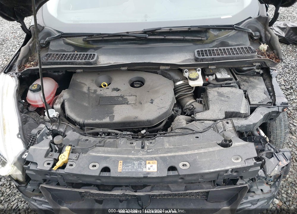 2019 FORD ESCAPE VIN: 1FMCU0J90KUC54829
