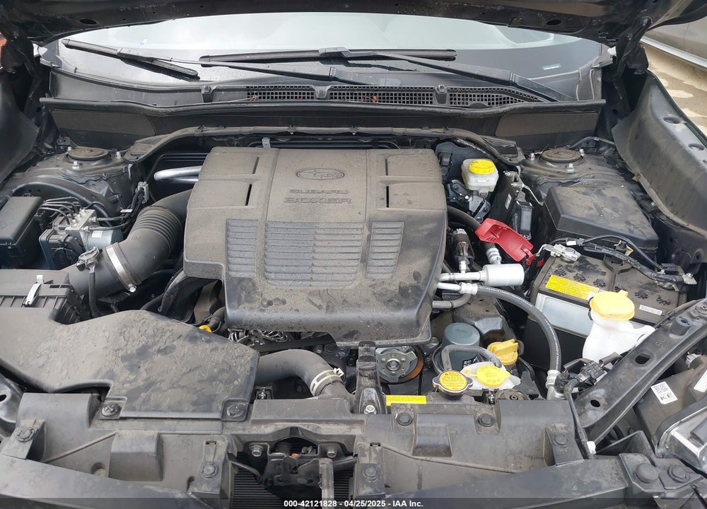 2024 SUBARU FORESTER WILDERNESS VIN: JF2SKAJC3RH461288