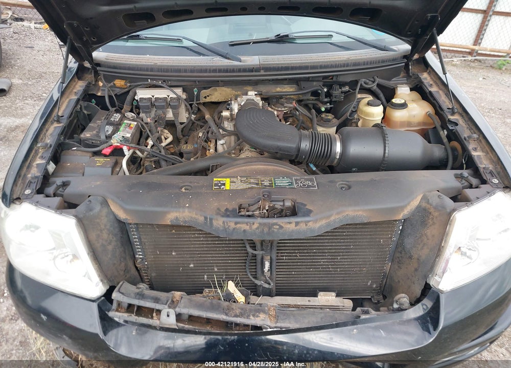 2004 FORD F-150 STX/XL/XLT VIN: 1FTRF12W54NC03455